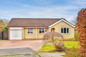 Photo 1- click for photo gallery